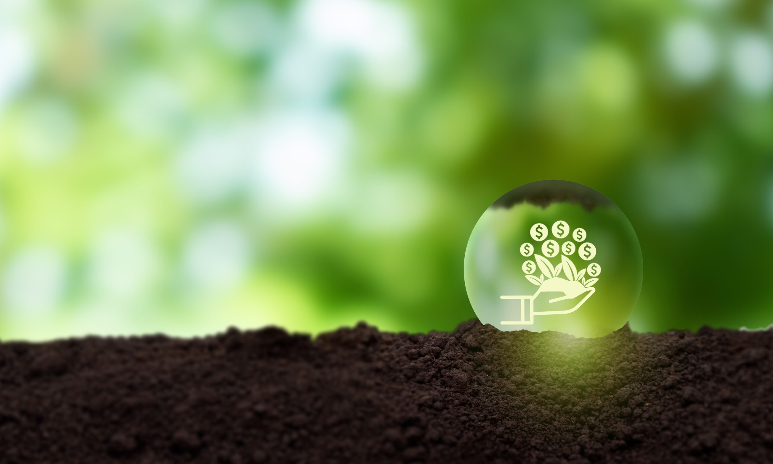 Ethical,And,Sustainable,Investing,Concept.,Growing,Sustainabiliy.,Aim,To,Have